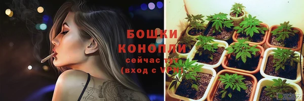 гидра Горно-Алтайск