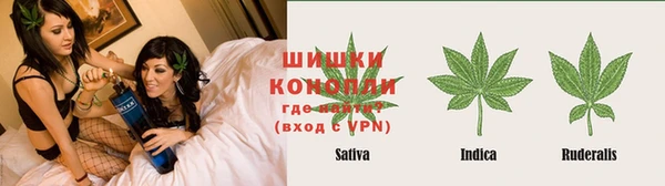 гидра Горно-Алтайск
